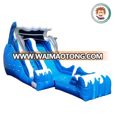 giant inflatable slide for sale cartoon dolphin inflatable water slide with pool for sale